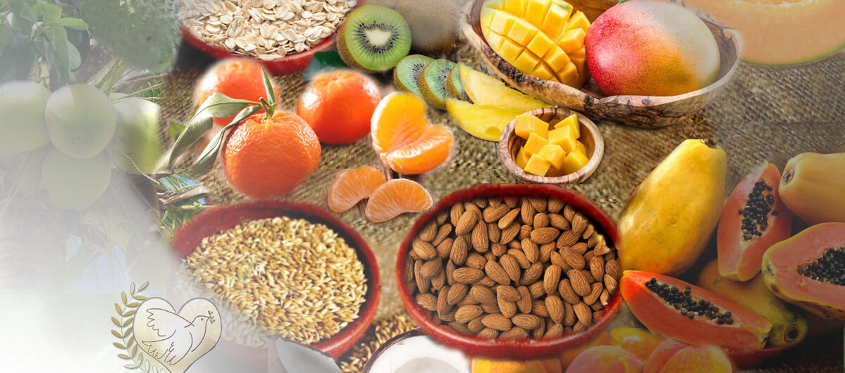 Las_naturaleza_sanadora_parte_iii