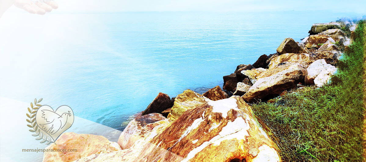 La_paz_preciado_valor_humano