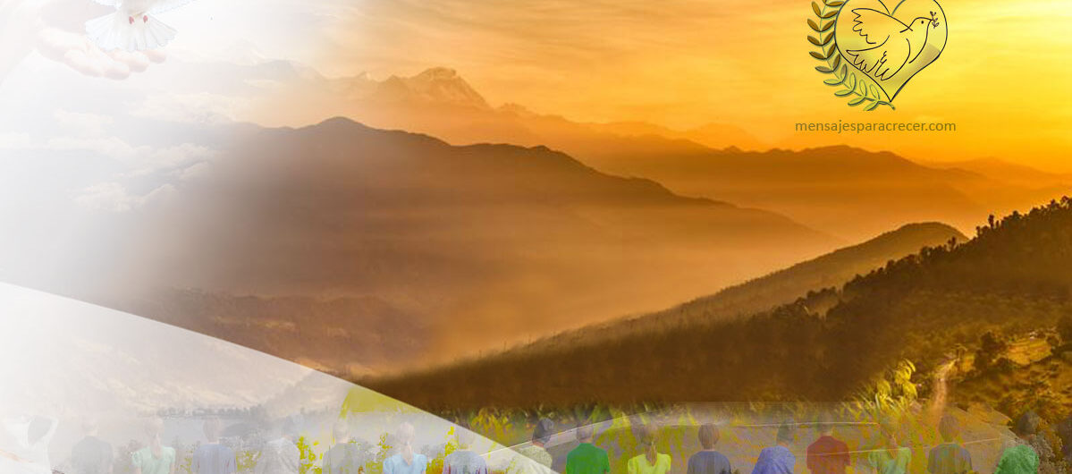 Donde_hay_paz_hay_amor