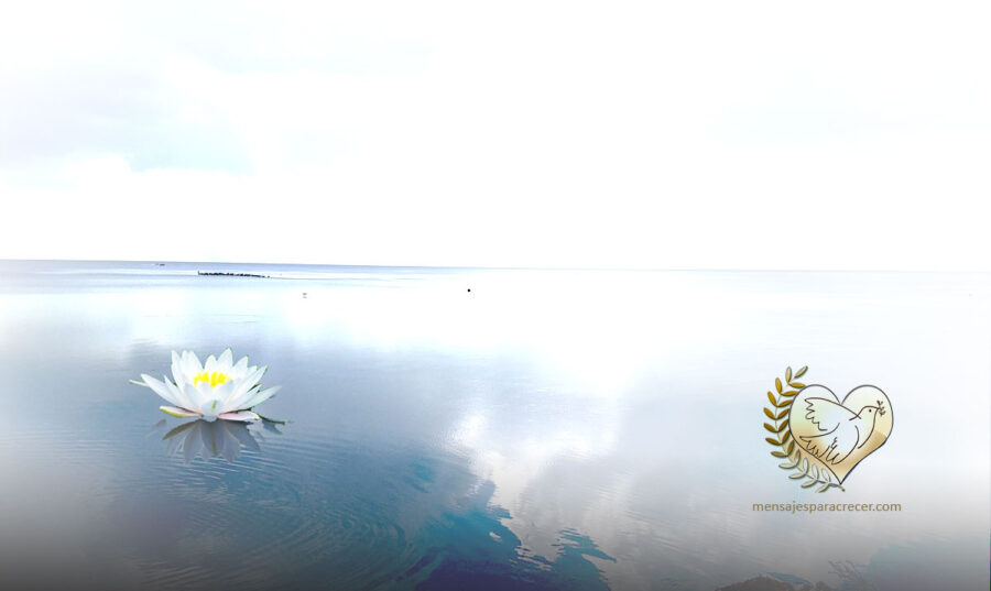 La_paz_y_la_union_de_los_pueblos